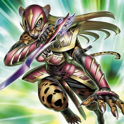 1 card combo X-Saber L26D